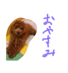 かわいいもじゃスタンプ（個別スタンプ：21）