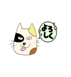 ねこわん2（個別スタンプ：40）