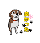 我が家の愛犬あんちゃんの日常会話スタンプ（個別スタンプ：4）