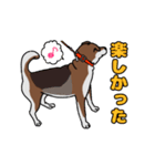 我が家の愛犬あんちゃんの日常会話スタンプ（個別スタンプ：10）