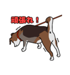 我が家の愛犬あんちゃんの日常会話スタンプ（個別スタンプ：11）