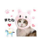 猫♥️面白♥️日常♥️（個別スタンプ：9）