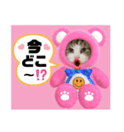 猫♥️面白♥️日常♥️（個別スタンプ：17）