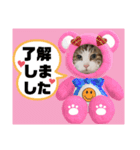 猫♥️面白♥️日常♥️（個別スタンプ：19）
