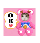 猫♥️面白♥️日常♥️（個別スタンプ：20）