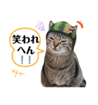 猫♥️面白♥️日常♥️（個別スタンプ：22）