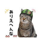 猫♥️面白♥️日常♥️（個別スタンプ：23）