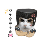 猫♥️面白♥️日常♥️（個別スタンプ：30）