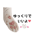 猫♥️面白♥️日常♥️（個別スタンプ：32）