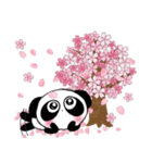 ぱんだのぴ〜ちゃん♪SAKURAさくら桜♡（個別スタンプ：3）