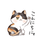 北村ねこちゃんず（個別スタンプ：1）