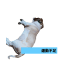 こっちゃん(1)（個別スタンプ：5）