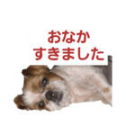 こっちゃん(1)（個別スタンプ：7）