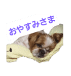 こっちゃん(1)（個別スタンプ：8）
