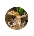 ちよだけど？（個別スタンプ：4）
