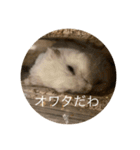 ちよだけど？（個別スタンプ：5）