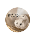 ちよだけど？（個別スタンプ：6）