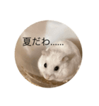 ちよだけど？（個別スタンプ：7）