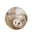 ちよだけど？（個別スタンプ：8）