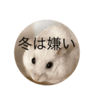 ちよだけど？（個別スタンプ：9）