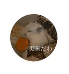 ちよだけど？（個別スタンプ：12）