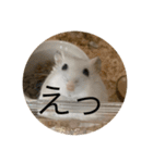ちよだけど？（個別スタンプ：15）
