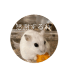 ちよだけど？（個別スタンプ：17）