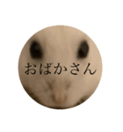 ちよだけど？（個別スタンプ：19）