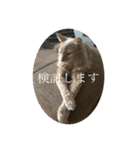 ちよだけど？（個別スタンプ：21）