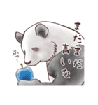 パンダとコアリクイ☆薄桜（個別スタンプ：15）