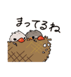 ぼくらキンカチョウ（個別スタンプ：19）