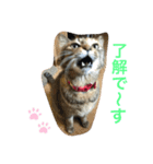 あんずちゃん其の7（個別スタンプ：2）