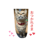 あんずちゃん其の7（個別スタンプ：10）