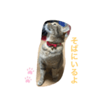 あんずちゃん其の7（個別スタンプ：11）