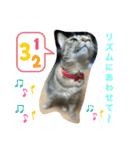 あんずちゃん其の7（個別スタンプ：12）