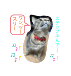 あんずちゃん其の7（個別スタンプ：13）
