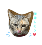 あんずちゃん其の7（個別スタンプ：16）