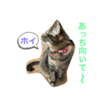 あんずちゃん其の7（個別スタンプ：19）