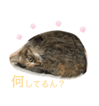 あんずちゃん其の7（個別スタンプ：22）