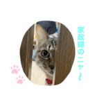 あんずちゃん其の7（個別スタンプ：24）