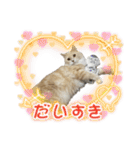 可愛いニャンコ3（個別スタンプ：4）