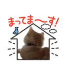可愛いニャンコ3（個別スタンプ：29）