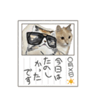 可愛いニャンコ3（個別スタンプ：31）