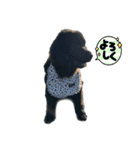 RAMちゃん♡Newfoundland ①（個別スタンプ：9）