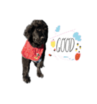 RAMちゃん♡Newfoundland ①（個別スタンプ：10）