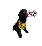 RAMちゃん♡Newfoundland ①（個別スタンプ：14）
