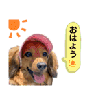 ハッピー＆もこ（個別スタンプ：20）