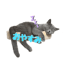 癒しのまるちゃんスタンプ（個別スタンプ：2）