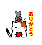 毎日、猫いっぱい（個別スタンプ：4）