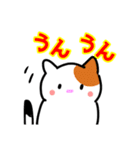 毎日、猫いっぱい（個別スタンプ：8）